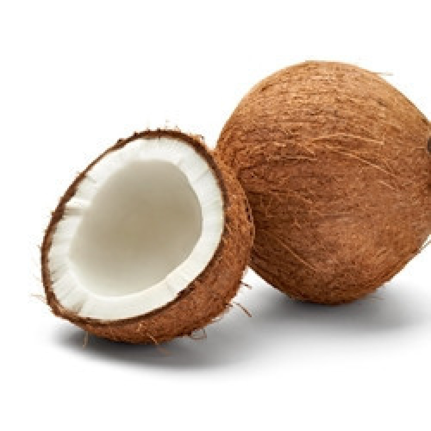 Coconut