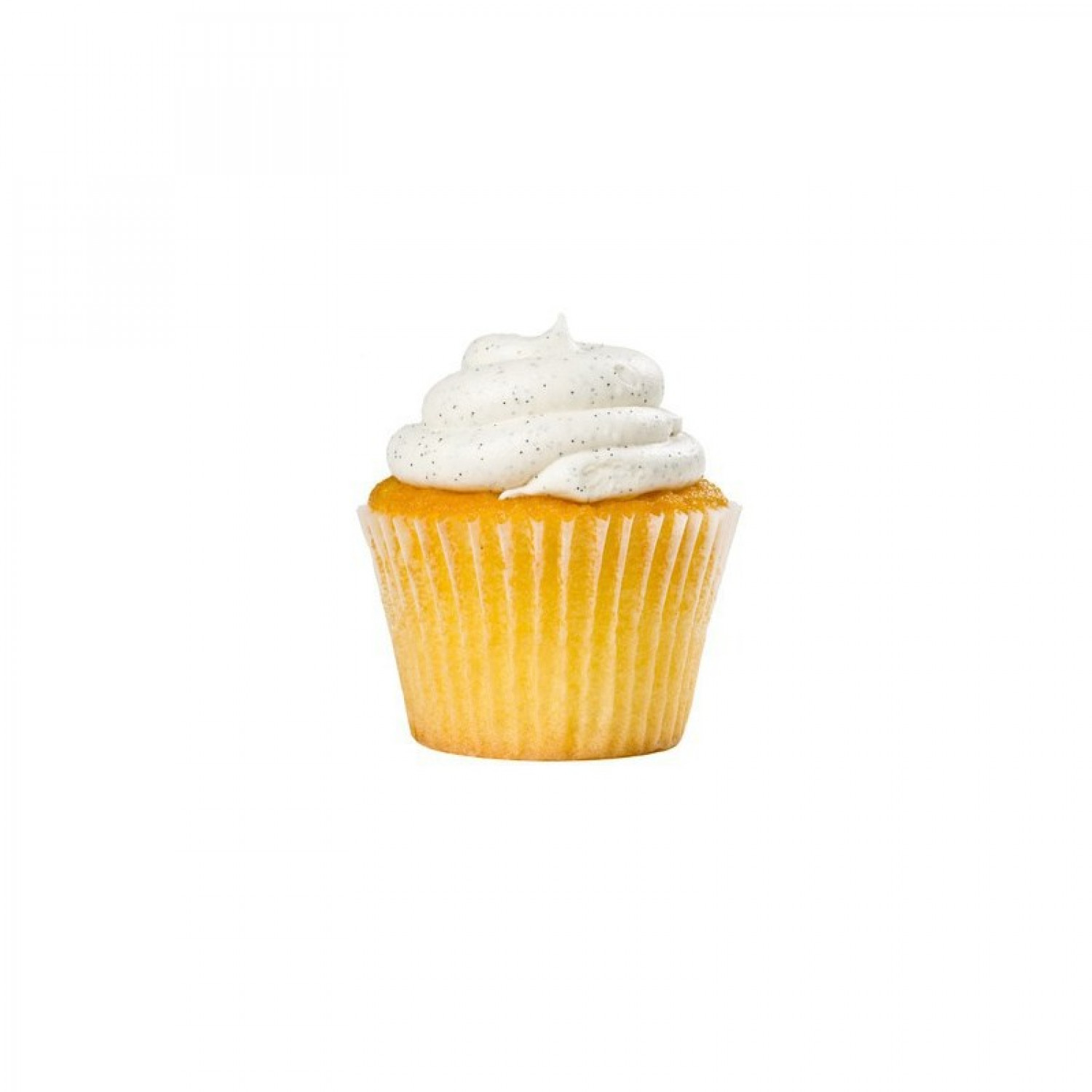 Vanilla Cupcake V2