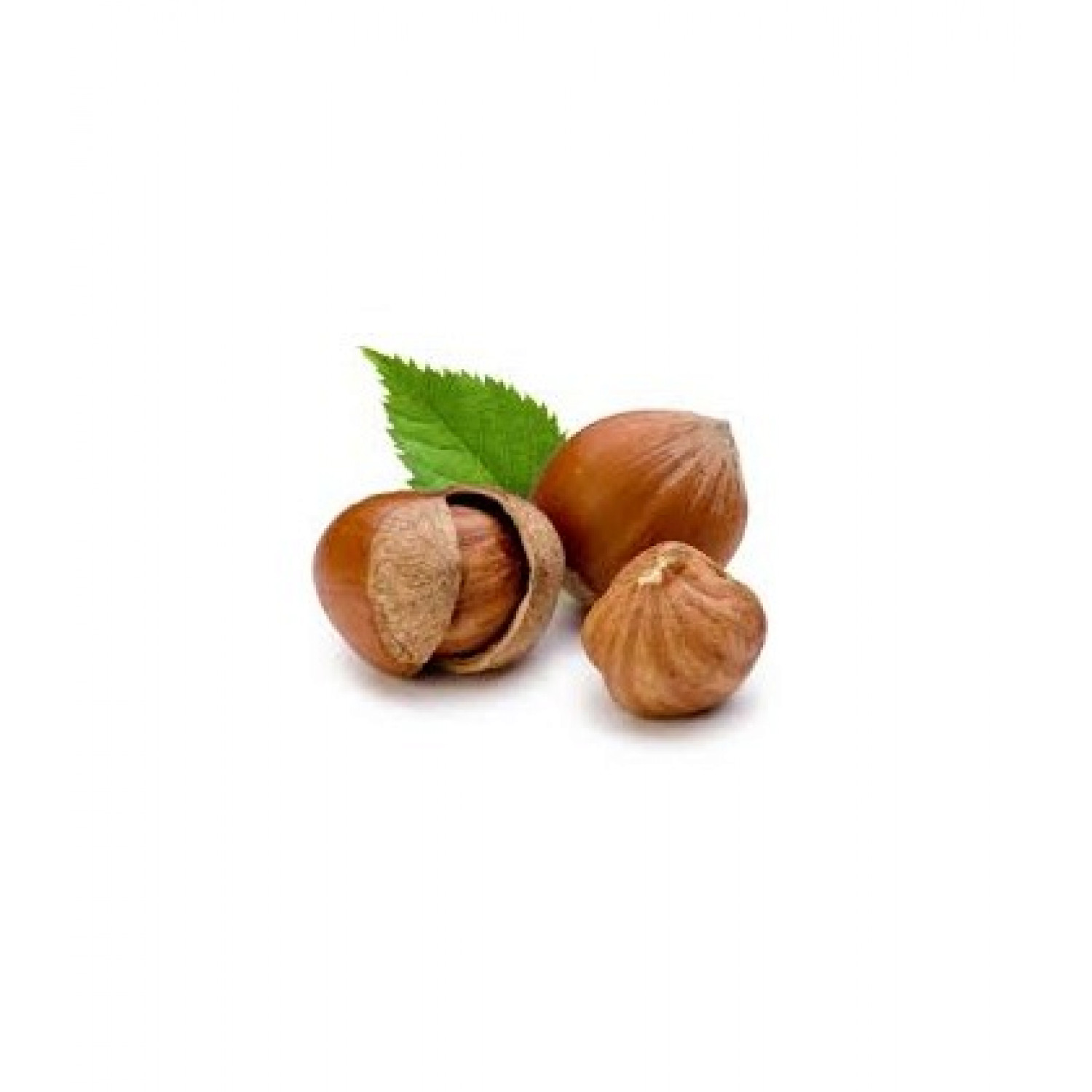 HAZELNUT