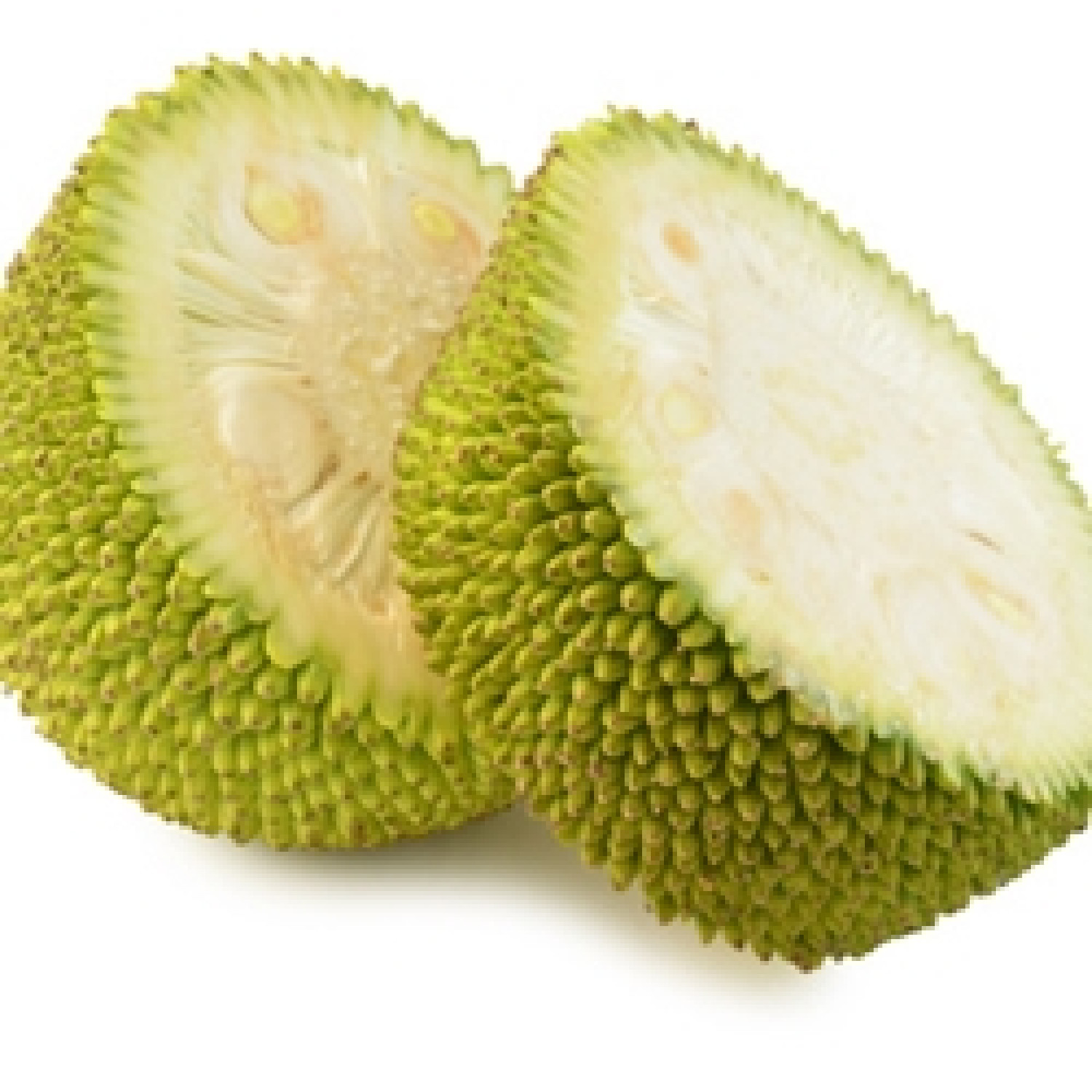 JACKFRUIT