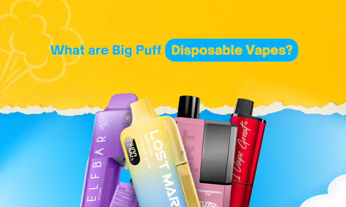 Discover the Future of Vaping with Big Puffs Rechargeable Pre-Filled Disposable E-Cigarettes