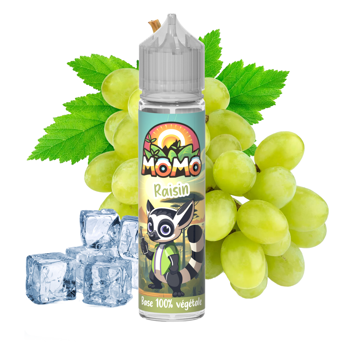 MOMO Raisin 50ml shake and vape e-liquid