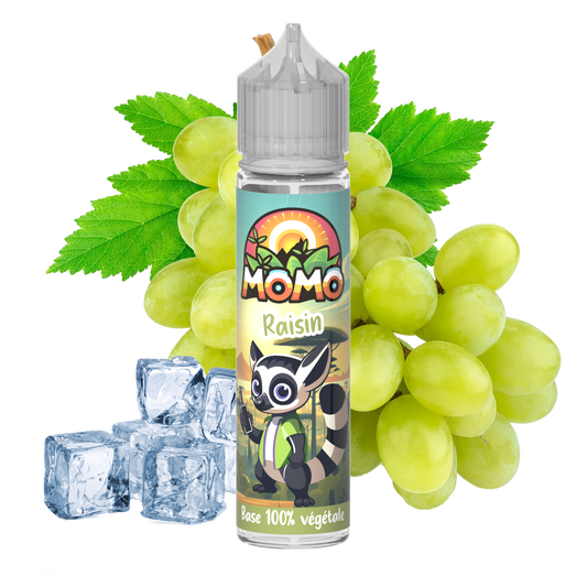 MOMO Raisin 50ml shake and vape e-liquid