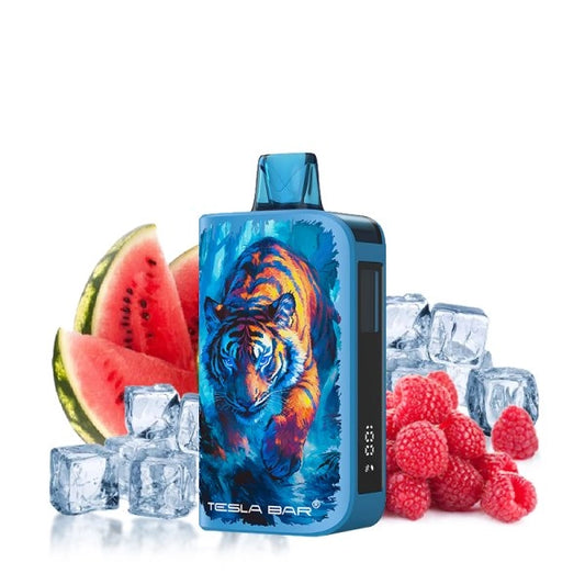 Tesla Bar by Teslacigs – Raspberry Watermelon Ice 10,000 Puffs Disposable Vape