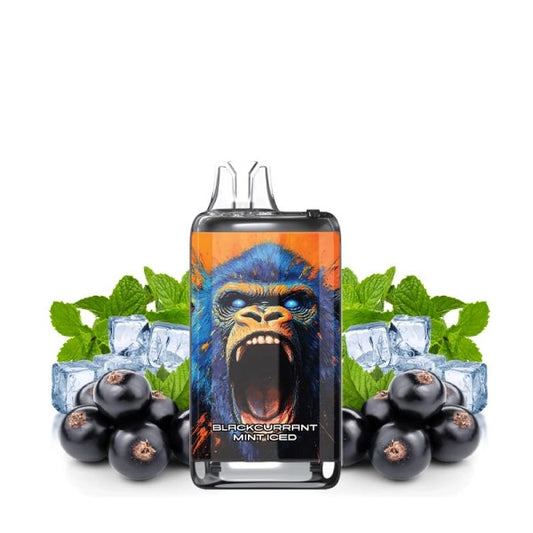 Torna Max 30K by Torna-Bar – Blackcurrant Mint Iced 30,000 Puff USB‑C Rechargeable Vape